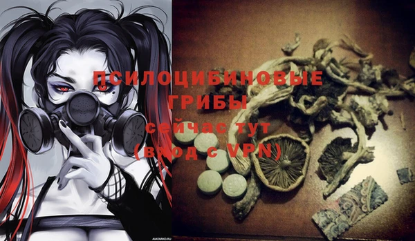 mdpv Баксан