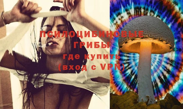 соль ск Балахна