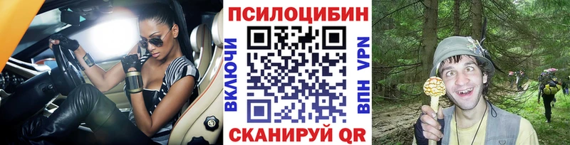 Купить где  Новоржев  Псилоцибиновые грибы Psilocybine cubensis 